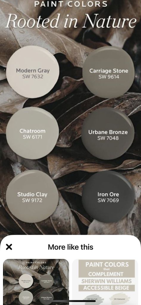 2023 Interior Wall Paint Colors, Agreeable Gray Kitchen Color Scheme, Rustic Interior Color Palette, Wherein Williams Dark Gray, Dark Farmhouse Paint Colors, Cabin Bedroom Color Schemes, Paint Colors For Mountain Home, Modern Craftsman Color Palette, Modern Industrial Interior Color Palette