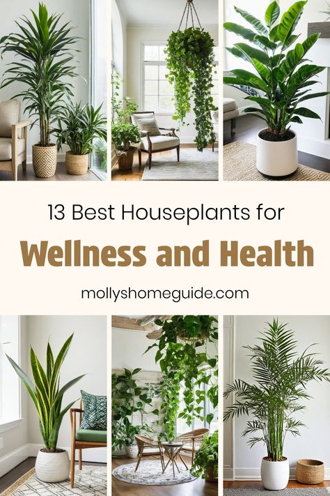 Best Plants For Apartments, Plants To Clean Indoor Air, Fiddle Leaf Plant Decor, Plants Air Purifying Indoor, Easy To Maintain Indoor Plants, Plant Air Purifier Indoor, Indoor Plant Guide, Tall Indoor Plants Bedroom, Plants For Clean Air At Home