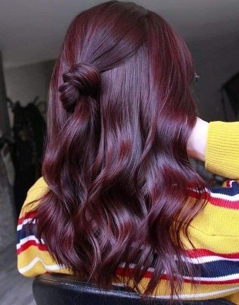 Pelo Color Vino, Cherry Hair Colors, Wine Hair Color, Rambut Brunette, Kadeřnické Trendy, Red Hair Inspo, Wine Hair, Cherry Hair, Hair Color Burgundy