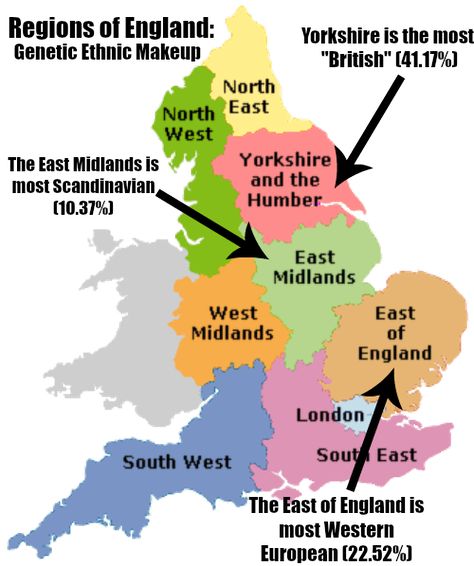 How British are the British? It turns out, based on an AncestryDNA study, that the British are less British than we think. On average, they are 37% British Genetic Genealogy, English Ancestry, Genealogy Map, German Map, Relationship Chart, Genealogy Help, Ancestry Family Tree, Family Tree Project, Dna Genealogy