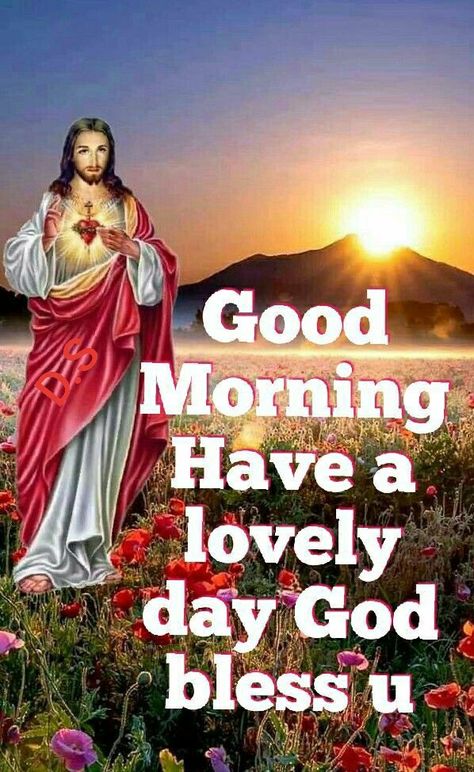 Jesus Good Morning Images, Good Morning Dp, Weekly Greetings, Good Morning Wishes Friends, Sunday Greetings, Good Morning Happy Saturday, Catholic Altar, Morning Sunday, Seek God