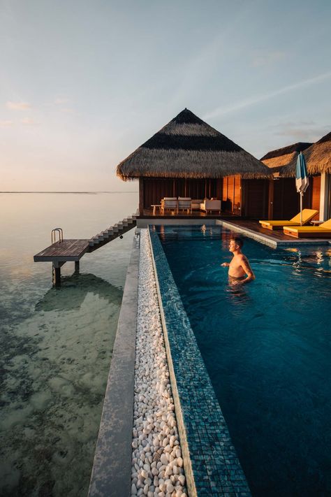 20 SURPRISINGLY CHEAP Water Villas In Maldives (2024) 8 Maldives Water Villa, Diving Course, Water Villa, Maldives Resort, Overwater Bungalows, Villa With Private Pool, Inclusive Resorts, Island Resort, All Inclusive Resorts