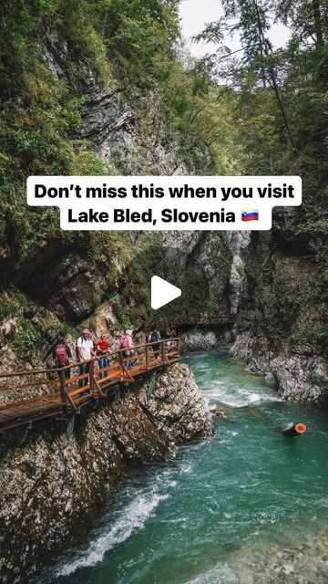 nikki | long term & adventurous travel on Instagram: "Don’t miss this just outside of Lake Bled 🤯  Lake Bled is the most popular day trip from Ljubljana when people visit Slovenia. So why do so many people miss this hidden gem just outside of Bled?  This is Vintgar Gorge, a gorge carved by the beautiful Radovna River. When you visit, you walk along wooden platforms built into the rock above the emerald river.   It takes about 30 minutes to walk through and has incredible waterfalls!  Vintgar Gorge was one of my favorite places I visited in Slovenia, so be sure you don’t miss it  Save this for your trip to Slovenia 📌🇸🇮  Follow @nikki.on.her.way for more travel tips and destination ideas!  Slovenia Travel | Slovenia | Slovenia Itinerary | Lake Bled Slovenia | Vintgar Gorge | Europe Trave Slovenia Itinerary, Travel Slovenia, Visit Slovenia, Lake Bled Slovenia, Adventurous Travel, Bled Slovenia, Slovenia Travel, Destination Ideas, Lake Bled