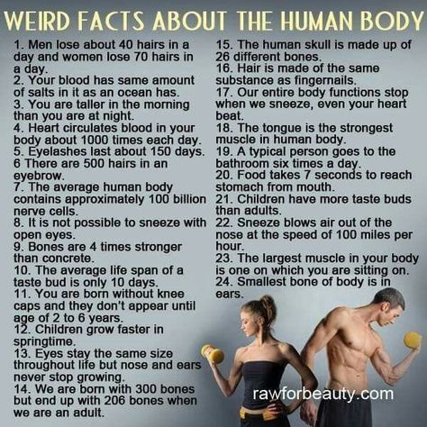 Human Body Facts, Facts About Humans, Medical Facts, Medical Knowledge, Science Facts, Anatomy And Physiology, Psychology Facts, The Human Body, The More You Know