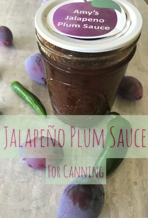 [DISPLAY_ULTIMATE_SOCIAL_ICONS]Our plum orchard is teeming with fruit by the middle of August. This Jalapeno Plum Sauce recipe is always near the top of my list for summertime fruit canning. So, you may know from my previous posts that we have a plum orchard. Or as the locals around here like to say, a prune orchard. These are Italian plum prunes, which are beautiful for drying. They are also extra sweet which makes them excellent for jams and preserves. Because we have so many of these Itali Jalapeno Plum Jam Recipe, Italian Plum Canning Recipes, Plum Pepper Jam, Canning Italian Plums, Italian Prunes Recipes, Plum Jalapeño Jelly, Canning Plum Sauce, Preserving Italian Plums, Italian Plum Jam