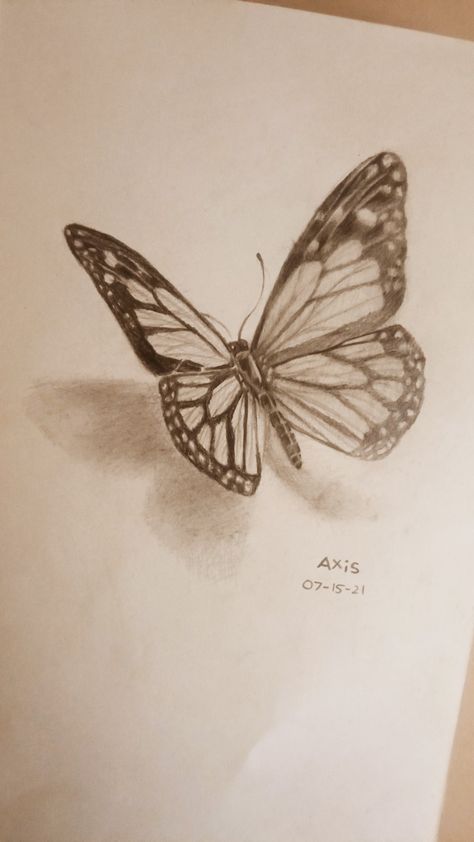 Cute Things To Draw Butterfly, Sketch Of A Butterfly, Butterfly On Sunflower Drawing, Cute Sketches Butterfly, Butterfly Sketch Realistic, Butterfly Flying Sketch, Drawing Inspo Butterfly, Butterfly Drawing Detailed, Drawing Butterfly Aesthetic