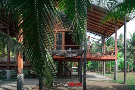 A Beautiful Wooden House on Stilts in a Coconut Grove / Living Asean House Stilts, Stilt Home, Ilocos Sur, Stilt House, Florida Cracker, Cracker House, House Extension Plans, Modern Tropical House, Tropical Lifestyle