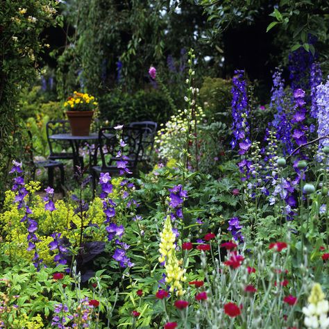 Shaded Garden Ideas Uk, Small Garden Uk Ideas, North Facing Courtyard Garden, North Facing Garden Uk, North Garden Ideas, North Facing Flower Bed Front Yards, North West Facing Garden, South Facing Front Garden Ideas, Plants For North Facing Gardens