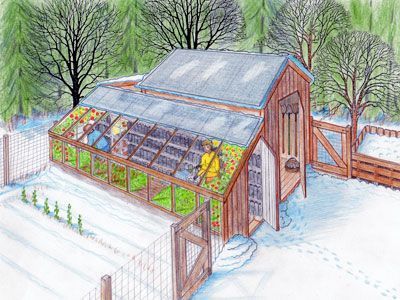 Greenhouse And Chicken Coop, Coop Plans, Greenhouse Plans, Building A Chicken Coop, Chicken Coop Plans, Diy Greenhouse, Diy Chicken Coop, Garden Greenhouse, Homestead Survival