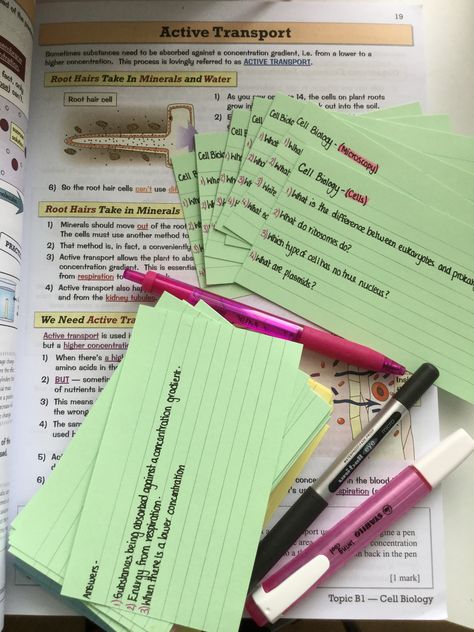 Que Cards Study, Studying With Flashcards, Study Flashcards Aesthetic, Q Cards Studying, Flashcards Ideas Study, Study Tips Flashcards, How To Study For Biology Exam, Study Flashcards Ideas, How To Make Study Flashcards