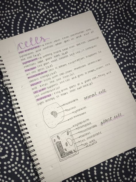 Cell Revision Notes, Childcare Revision Notes, Pretty Notes Aesthetic Biology, Subjects To Learn About, Junior Cert Study Notes, Study Notes Physics, Aesthetic Revision Notes, School Revision, Revision Motivation