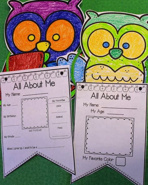 All About Me Banner, About Me Craft, Owl Classroom Decor, September Preschool, All About Me Crafts, Classroom Decor Middle, Owl Theme Classroom, Owl Classroom, Classroom Decor High School