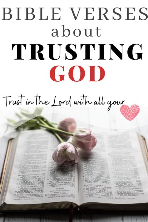 Trust In The Lord Quotes, Trust Bible Verses, Trust In The Lord With All Your Heart, Heart Scriptures, Trust Scripture, Bible Verses About Trusting God, Verses About Trusting God, Verses For Women, Positive Bible Verses