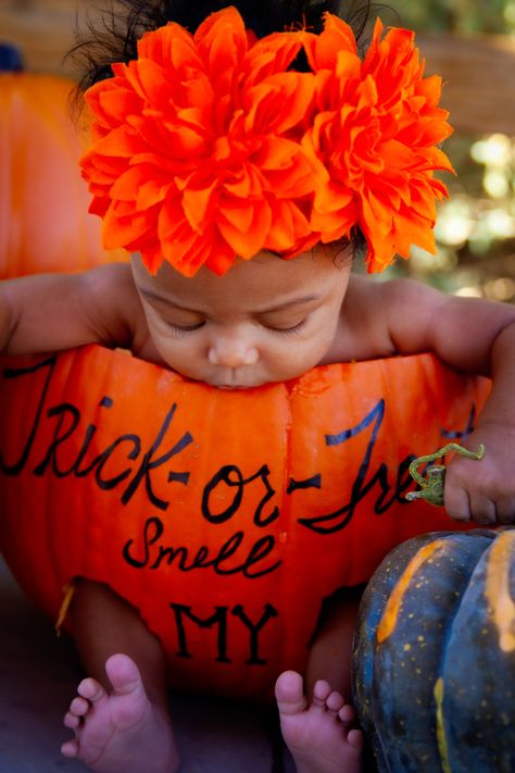 Baby Pumpkin Patch Pictures, Pumpkin Baby Photoshoot, Halloween Pumpkin Photoshoot, Baby Pumpkin Patch, Pumpkin Photoshoot, Baby Halloween Pumpkin, Infant Photos, Pumpkin Patch Pictures, Pumpkin Pictures