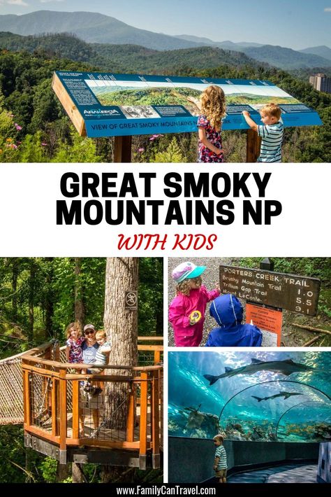 Three Active Days in Gatlinburg, TN with Kids - Family Can Travel Tennessee Family Vacation, Gatlinburg Attractions, Gatlinburg Tennessee Vacation, Smokey Mountains National Park, Tennessee Road Trip, Smokey Mountains Vacation, Mountains Vacation, Gatlinburg Vacation, Clingmans Dome