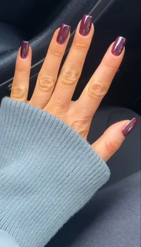 Aubergine Nails Art, Fall Colors Gel Nails, Plum Square Nails, Fall Nail Colors Simple, Cute Nail Colors For Fall, Plum Colour Nails, Nails Solid Color Fall, Squoval Gel X Nails, Fall Nails Wine Color