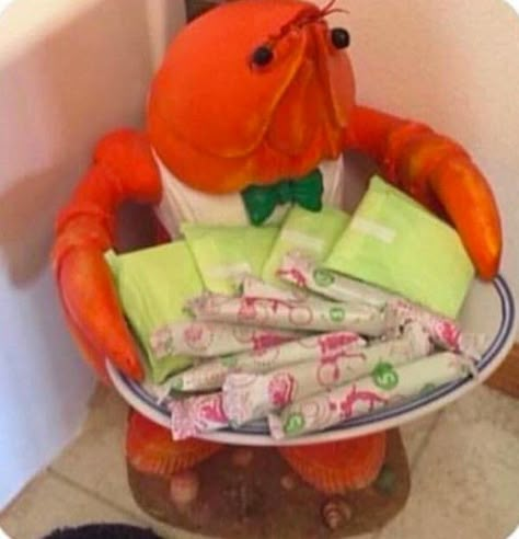 A crustacean menstruation station? #odd #weird #decor #strange #lol Menstruation Crustacean, Collage Mural, Future Apartment, Bathroom Toilet, Dream Apartment, Watch Movies Online, Cute Room Decor, Watch Tv Shows, Tv Shows Online