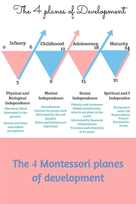 Maria Montessori described that a child goes through 4 distinguish stages of development and that he has not finished to grow until he is 24 year old!It's fascinating to observe my own children growing up! In this blog post, I will explain to you those 4 planes! Most parents I work with have a child in the first plane but it's good to know what comes next!Maria Montessori described 4 planes of development, that correspond to 4 distinct age groups. Montessori Stages Of Development, Montessori Lifestyle, Montessori Mom, Parenting Topics, Primary School Activities, Montessori Theory, Montessori Approach, Montessori Resources, Child Development Stages