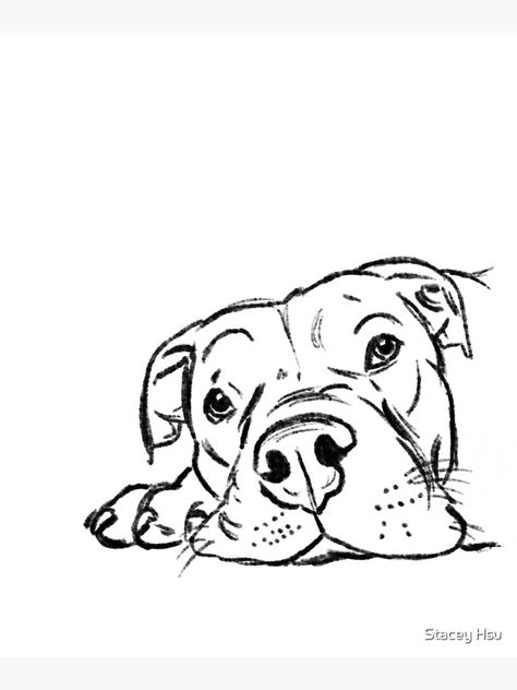 Easy Pitbull Drawing, Pitbull Drawing Cartoon, Pitbull Tattoo Design, Bull Sketch, Pit Bull Drawing, Bull Drawing, Pitbull Drawing, Firefly Tattoo, Crows Drawing