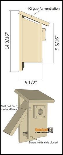 DIY Furniture Projects Idea Bird Boxes Diy Projects, Bluebird Box Plans, Birdhouse Building Plans, Blue Bird Houses Plans, Build Bird House, How To Build Bird Houses, Bluebird Houses Diy, Building A Bird House, Bird House Blueprints