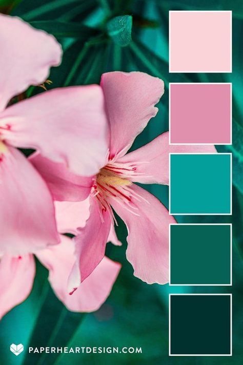 Via paperheartdesign Teal Color Palette, Color Schemes Colour Palettes, Color Palette Pink, Color Palate, Color Palette Design, Paper Heart, Color Balance, Teal And Pink, Color Inspo