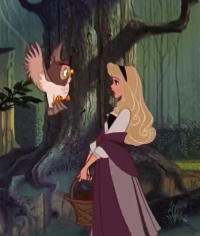 Disney sleeping beauty and owl Jan Pienkowski, Sleeping Beuty, Disney Scenes, Animated Women, Sleeping Beauty Art, Old Disney Movies, Disney Movie Scenes, Disney Moments, Sleeping Beauty 1959