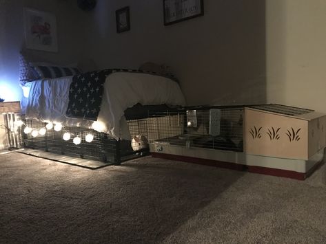 Bunny cage extension under platform bed! Rabbit Cage Under Bed, Under Bed Bunny Cage, Bunny Set Up Indoor Apartment, Bedroom With Bunny Cage, Bunny Cage Under Loft Bed, Rabbit Cage Under Loft Bed, Garage Bunny Setup, Bunny Cage Under Bed, Bunny Setup In Bedroom