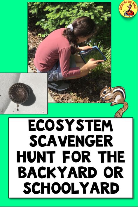 Create An Ecosystem Project, Ecosystem Scavenger Hunt, Ecosystem Projects For Kids, Ecosystem Activities For Kids, Restaurant Scavenger Hunt, September Homeschool, Teaching Ecosystems, October Science, Scavenger Hunt Outdoor