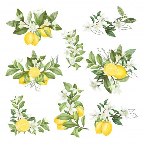 Hand drawn bouquets and compositions of ... | Premium Vector #Freepik #vector #flower #food #tree #hand Lemon Clipart, Leaves Sketch, Plant Cartoon, Plant Sketches, Lemon Flowers, Lemon Wreath, Tree Clipart, Kids Wall Decals, Flower Logo