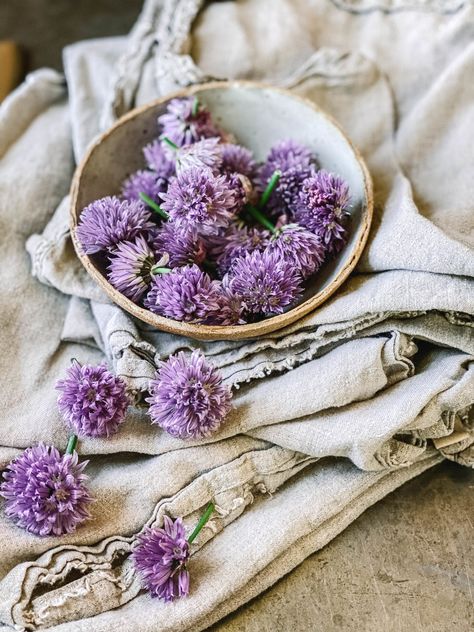 Chive Flowers Recipe, Crumpet Recipe, Chive Seeds, Chives Recipe, Chive Flower, Chive Blossom, Edible Flowers Recipes, Summer Produce, Lemon Blossoms