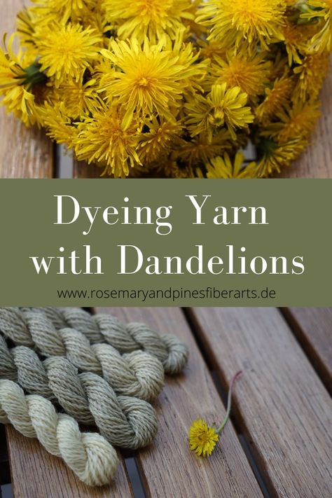 Dyeing Yarn With Natural Dyes, Natural Yarn Dyeing, Natural Dye Yarn, Natural Dye Garden, Dandelion Dye, Natural Dyes For Fabric, Eco Printing Textiles, Natural Dyeing Techniques, Fabric Dyeing Techniques