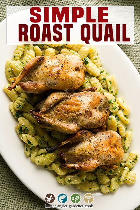 Quail Recipes With Gravy, Quale Bird Recipes, Braised Quail Recipes, Oven Baked Quail Recipes, Cooking Quail Meat, Recipes For Quail, Oven Roasted Quail, Crockpot Quail Recipes, Whole Quail Recipes