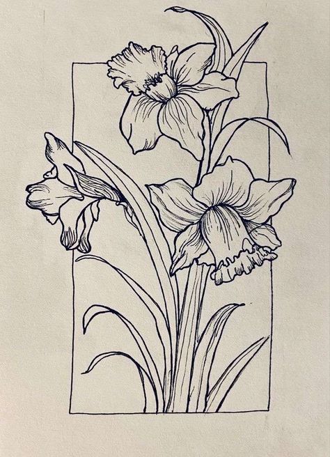 Narciss Flower Drawing, Flower Drawing Daffodil, Daffodils Drawing Simple, Daffodil Sketch Tattoo, Daphadil Flower Drawing, Daphodil Flower Drawing, Daffodil Coloring Pages, Drawing Of Daffodils, Daffodil Tattoo Drawing