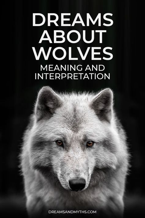 Wolf Meaning, Captain Ideas, Spirit Animal Meaning, Types Of Dreams, S Meaning, Eye Meaning, Healthy Book, Wolf Eyes, Wolf Quotes