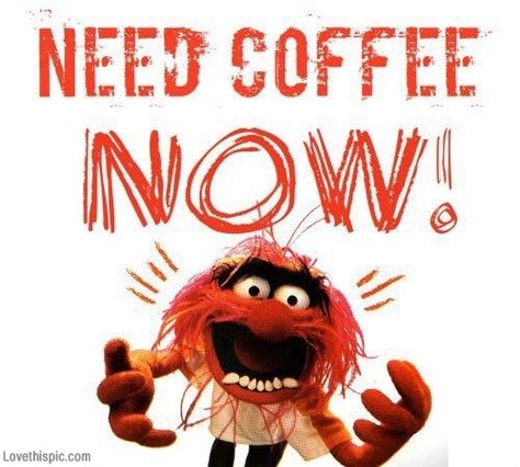 Need Coffee Now Pictures, Photos, and Images for Facebook, Tumblr, Pinterest, and Twitter Coffee Laughs, Coffee Sayings, Happy Week End, Fraggle Rock, Coffee Talk, Coffee Obsession, Pontianak, Need Coffee, Coffee Is Life