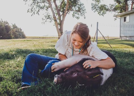 Livestock Senior Pictures Pigs, Senior Pictures With Pigs, Senior Livestock Pictures, Livestock Senior Pictures, 4h Livestock, Showing Pigs, Farm Senior Pictures, Livestock Photography, Graduation Things