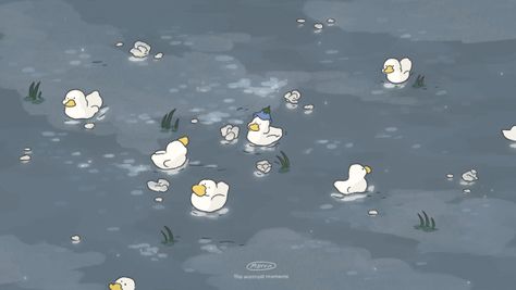 Duck Desktop Wallpaper, Duck Wallpaper, Homescreen Wallpaper, Cute Wallpaper Backgrounds, Cute Illustration, Ducks, Desktop Wallpaper, Wallpaper Backgrounds, Cute Wallpapers