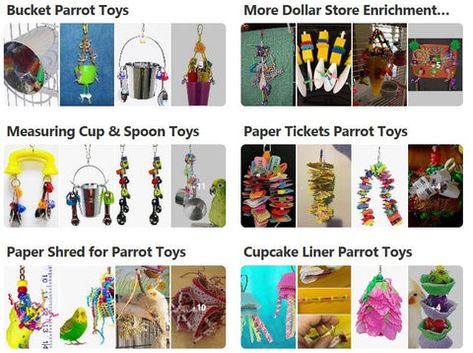 Parrot Enrichment Diy, Diy Bird Toys Conure, Diy Bird Toys Parakeets, Diy Cockatiel Toys, Diy Budgie Toys, Jenday Conure, Bird Enrichment, Parrot Enrichment, Homemade Bird Toys