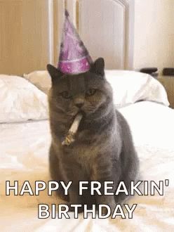 Birthday Cat GIF - Birthday Cat HappyBirthday - Discover & Share GIFs Happy Birthday Reaction Pic, Birthday Reaction Pic, Funny Happy Birthday Gif, Birthday Gif Images, Birthday Animated Gif, Happy Birthday Gif Images, Birthday Kitty, Happy Birthday Animals, Birthday Wishes Gif