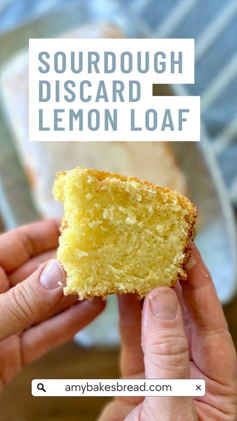 Sourdough Starter Lemon Loaf, Sourdough Discard Blueberry Lemon Loaf, Discard Lemon Bars, Sourdough Discard Lemon Pound Cake, Lemon Sourdough Discard Recipes, Sourdough Discard Lemon Muffins, Sourdough Discard Lemon Cake, Discard Recipes Breakfast, Sourdough Discard Lemon Scones