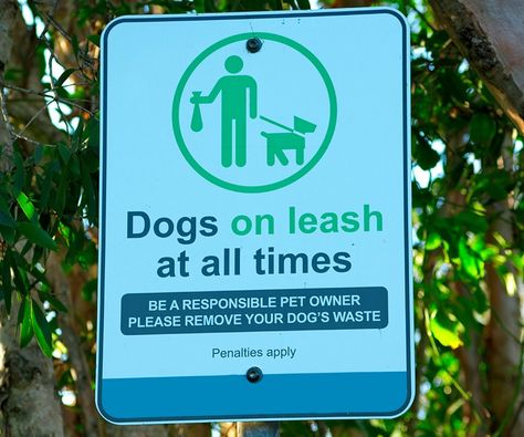 Dog Park Etiquette | Hartz Dog Park Etiquette, Female Dog In Heat, Dog In Heat, Dog Spay, Pet Peeves, Types Of Animals, Dog Park, Dog Owner, Dog Owners