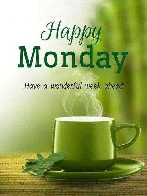 Beautiful Good Morning Images Quotes, Monday Morning Wishes, Quotes For Your Friends, Happy Monday Images, Monday Greetings, Good Morning Monday Images, Beautiful Good Morning Images, Happy Monday Quotes, Happy Monday Morning