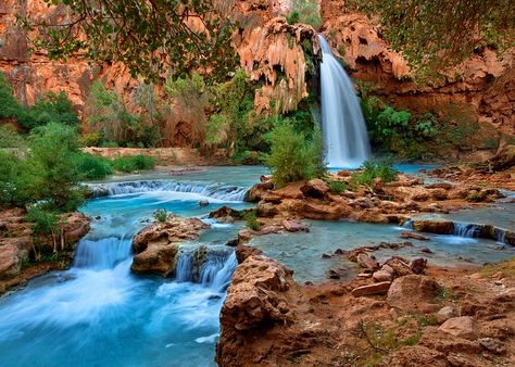 Havasu Falls Landscape: Supai, Arizona Havasupai Falls, Havasu Falls, Best Nature, Camping Spots, Grand Canyon National Park, Beautiful Waterfalls, Autumn Landscape, Backpacking Travel, Travel Usa