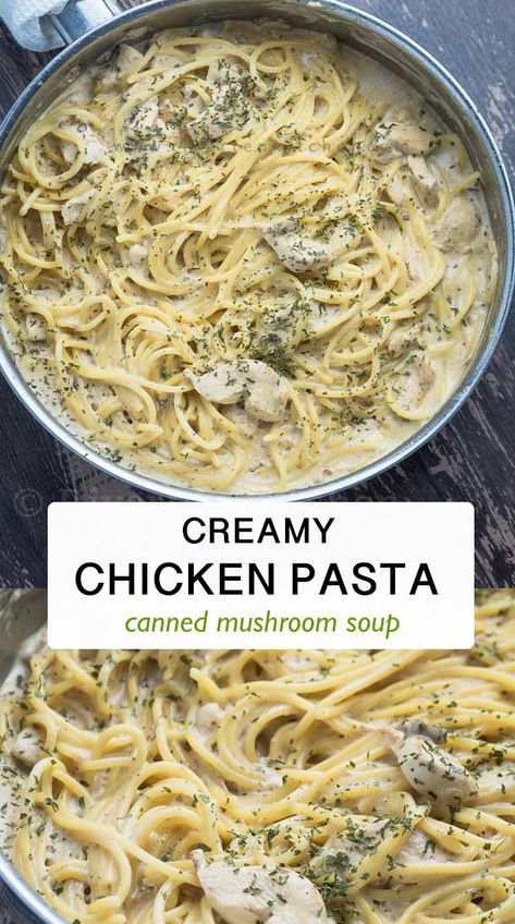 Campbells Soup Pasta Recipes, Mushroom Soup Pasta Sauce, White Pasta Sauce, Cream Of Mushroom Pasta, Chicken Pasta Sauce, Mushroom Pasta Sauce, Chicken Mushroom Pasta, Pantry Recipe, Cream Of Mushroom Chicken