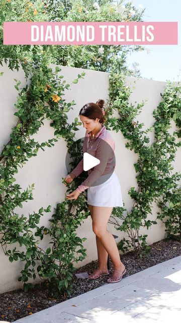 Brittany | Home Decor & Style on Instagram: "HOW TO INSTALL A DIAMOND TRELLIS  I get asked often how we installed our star Jasmine in a diamond shape so I’m reposting this from last year! Hope it helps and happy gardening! 🪴 FYI - in this video it’s a bit tangled due to having to remove it for paint but within a few weeks, it looks much more lush and green   1) MEASURE: You’ll need to know how wide & tall your wall is. For reference, ours is 42’ wide and 6’ tall  2) EYE SCREWS: install eye screws at every bottom, top, and cross point of the diamond. Each bottom point of our diamonds are 3.5’ apart. We have 11 diamonds total.  3) VINE WIRE: get a sturdy vine wire and thread it through the eyescrews. We cut and used about 7.5 length pieces.  PLANT: install a vine about 10” away from your wa Trellis By Pool, Trellis On Retaining Wall, Trellis On Wall Ideas, Diamond Trellis Wall, Star Jasmine Trellis Ideas, Jasmine Vine Trellis, Star Jasmine Trellis Wall, Jasmine Trellis Wall, Star Jasmine Wall