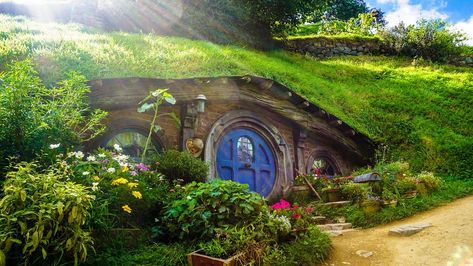 House Home Quirky, #House, #Quirky, #Home Case Sotterranee, Earth Sheltered Homes, Casa Hobbit, Bio Design, Abel Tasman, Earth Sheltered, Wedding Readings, Movie Locations, Underground Homes