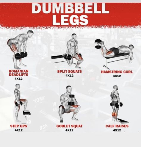 Leg Workouts For Men, Dumbbell Leg Workout, Pull Day Workout, Leg Workouts Gym, Workout Gym Routine, Dumbbell Exercises, Leg Workout Routine, Work Out Routines Gym, Gym Workout Planner