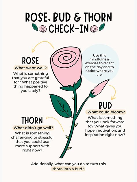 "Rose, Bud, and Thorn Check-In" Art Board Print for Sale by PKindThoughts | Redbubble Rose Bud Thorn, Mental Health Activities, Mental Health Therapy, Mindfulness Exercises, Therapy Counseling, Counseling Resources, Therapy Worksheets, Group Therapy, Therapy Tools