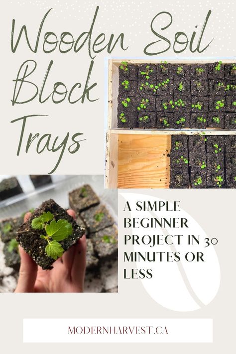 Seedling Trays Diy, Diy Seed Starter Trays, Diy Seedling Tray, Diy Soil Blocker, Diy Seed Starting Tray, Soil Blocking, Garden 101, Companion Planting Guide, Cabin Garden