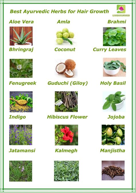 Best ayurvedic herbs for hair growth, #Ayurveda hair growth, #list of ayurvedic herbs for hair growth, #herbs for hair problems Indian Herbs For Health, Ayurvedic Recipes For Hair Growth, Best Herbs For Hair Growth, Ayurvedic Herbs For Hair Growth, Ayurvedic Herbs For Hair, Hair Growth Herbs, Hair Manifestation, Ayurveda Hair Care, Charcoal Benefits